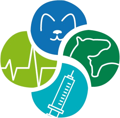 EquiposVET